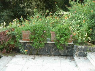 (c) by Portosalvo.org.