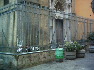(c) by Portosalvo.org.