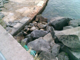 (c) by Portosalvo.org.