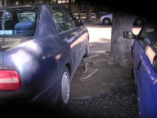 (c) by Portosalvo.org.
